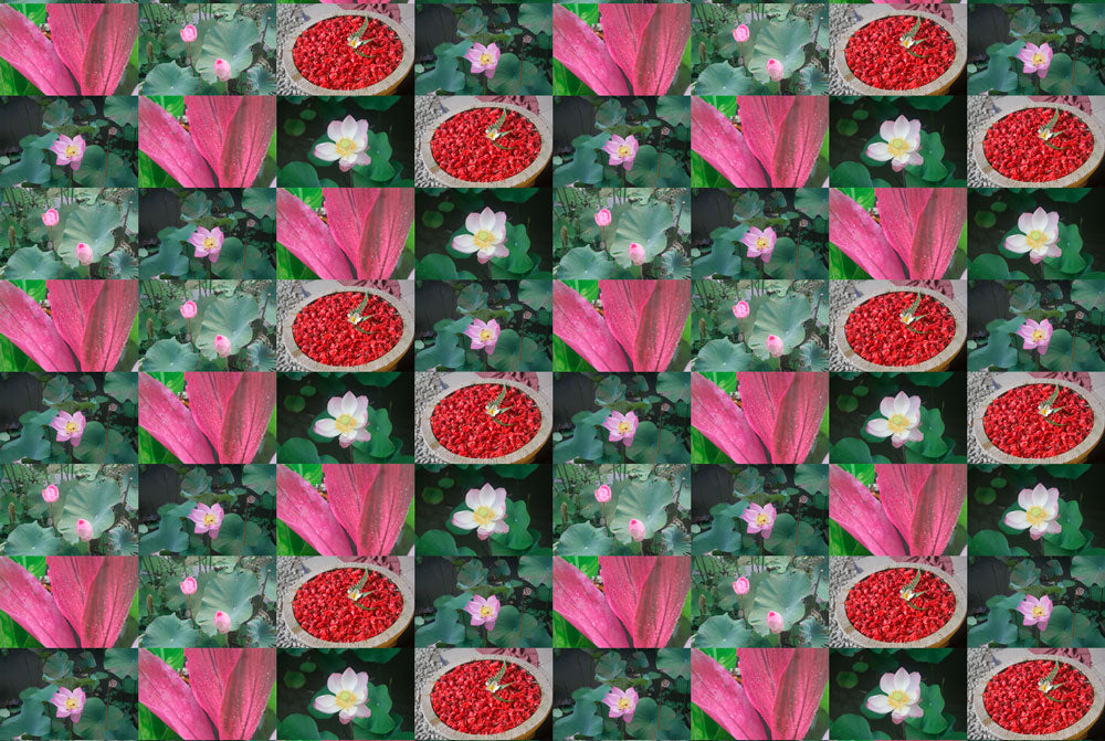 Bali Flowers Wallpaper