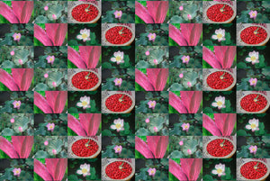 Bali Flowers Wallpaper